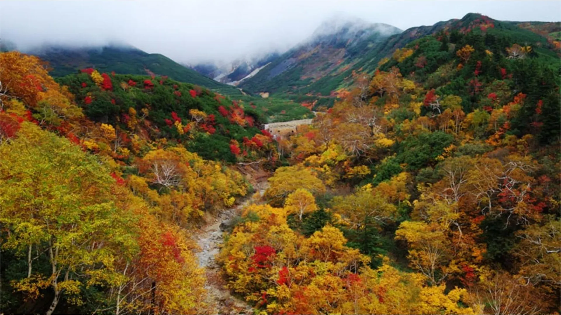 Furano Hops Hotel - Vacation Stay 41833V Kamifurano Japonya